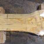 Ash Wood Slab: AH-03-01