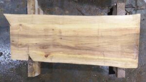 Bald Cypress Wood Slab: BC-01-01