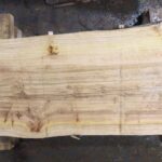 Bald Cypress Wood Slab: BC-01-02