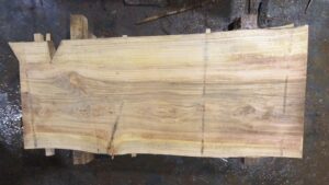 Bald Cypress Wood Slab: BC-01-03