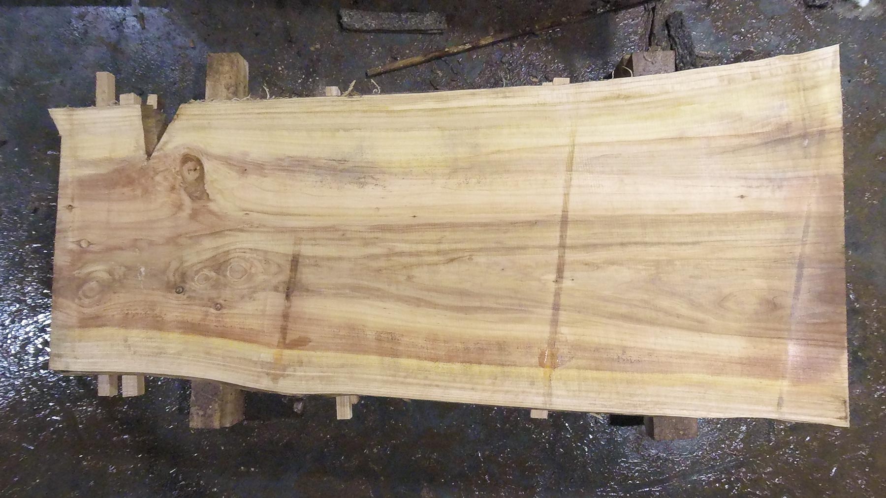 Bald Cypress Wood Slab: BC-01-04