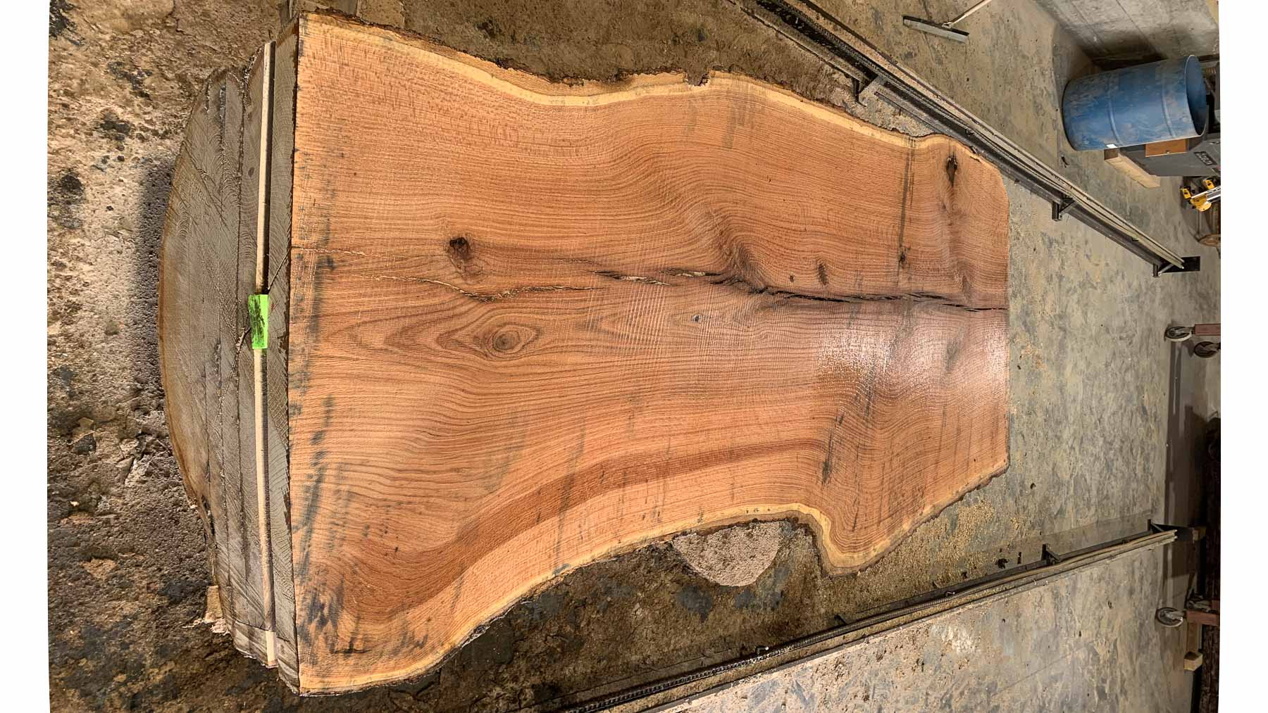 Catalpa Wood Slab: CA-01-04 – Bluestone Organic