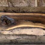 Black Walnut Wood Slab: WN-05-01