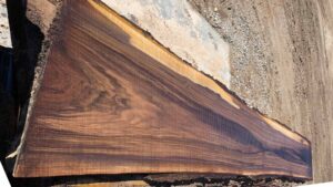 Black Walnut Wood Slab: WN-06-01