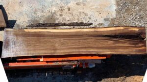 Black Walnut Wood Slab: WN-06-02