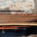Black Walnut Wood Slab: WN-06-03