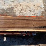 Black Walnut Wood Slab: WN-06-05