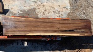 Black Walnut Wood Slab: WN-06-05