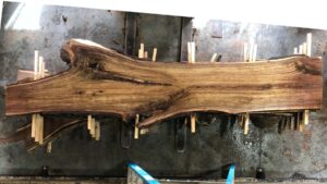 Black Walnut Wood Slab: WN-03-03