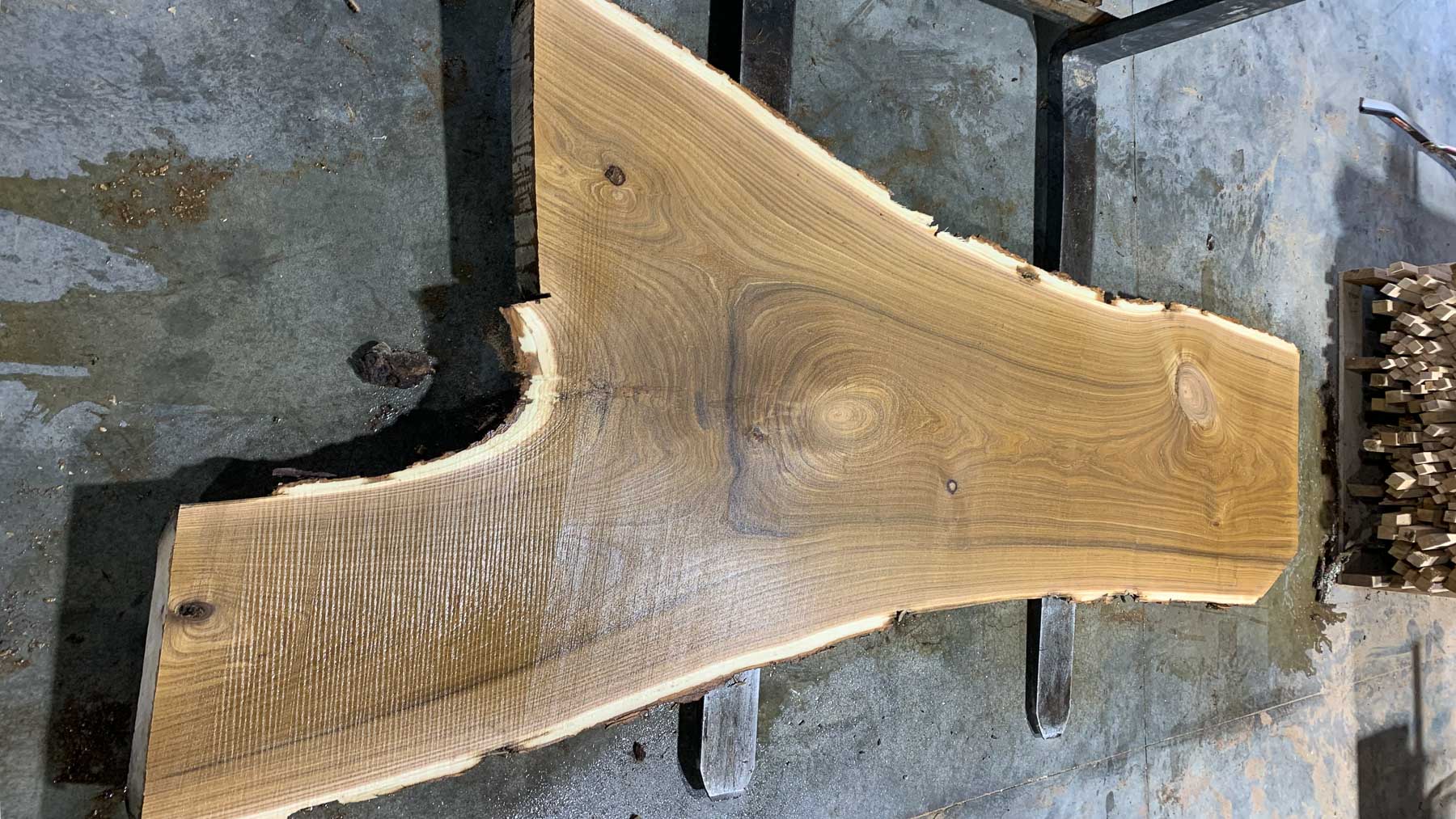 Catalpa Wood Slab: CA-01-03 – Bluestone Organic