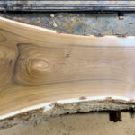 Catalpa Wood Slab: CA-01-02