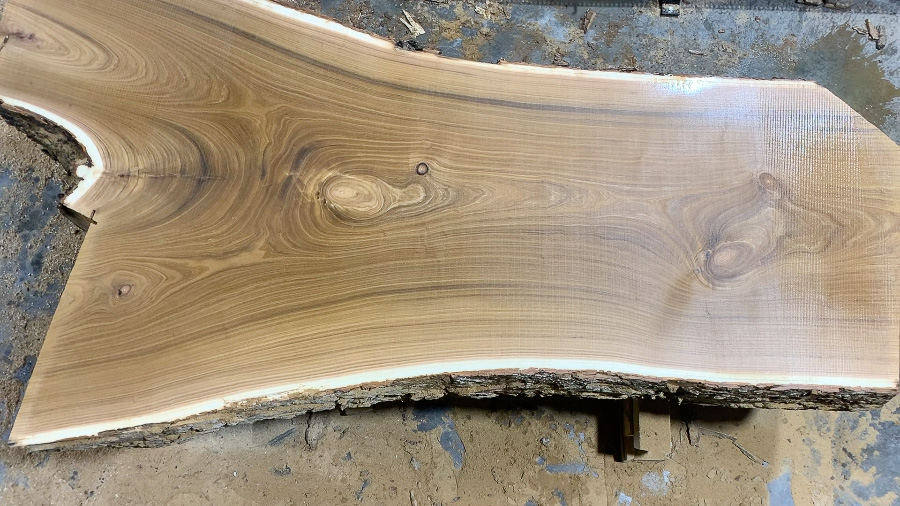 Catalpa Wood Slab: CA-01-03