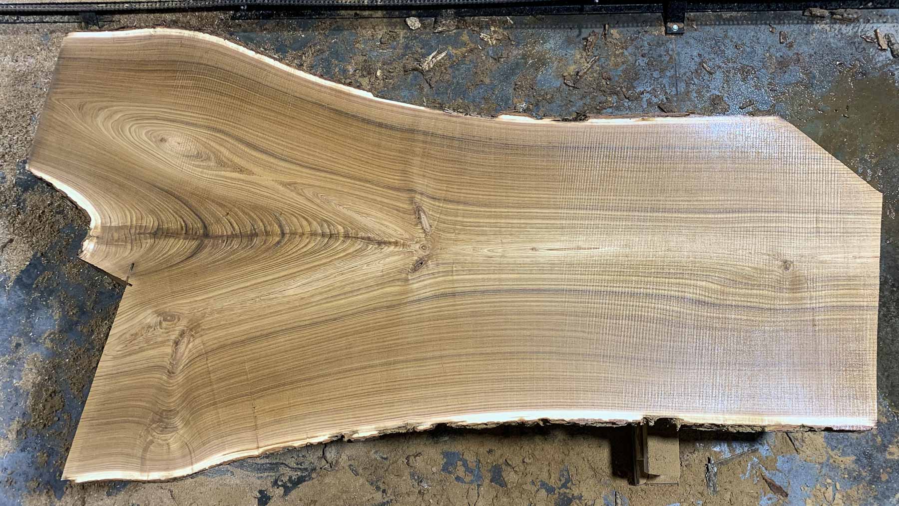 Catalpa Wood Slab: CA-01-05