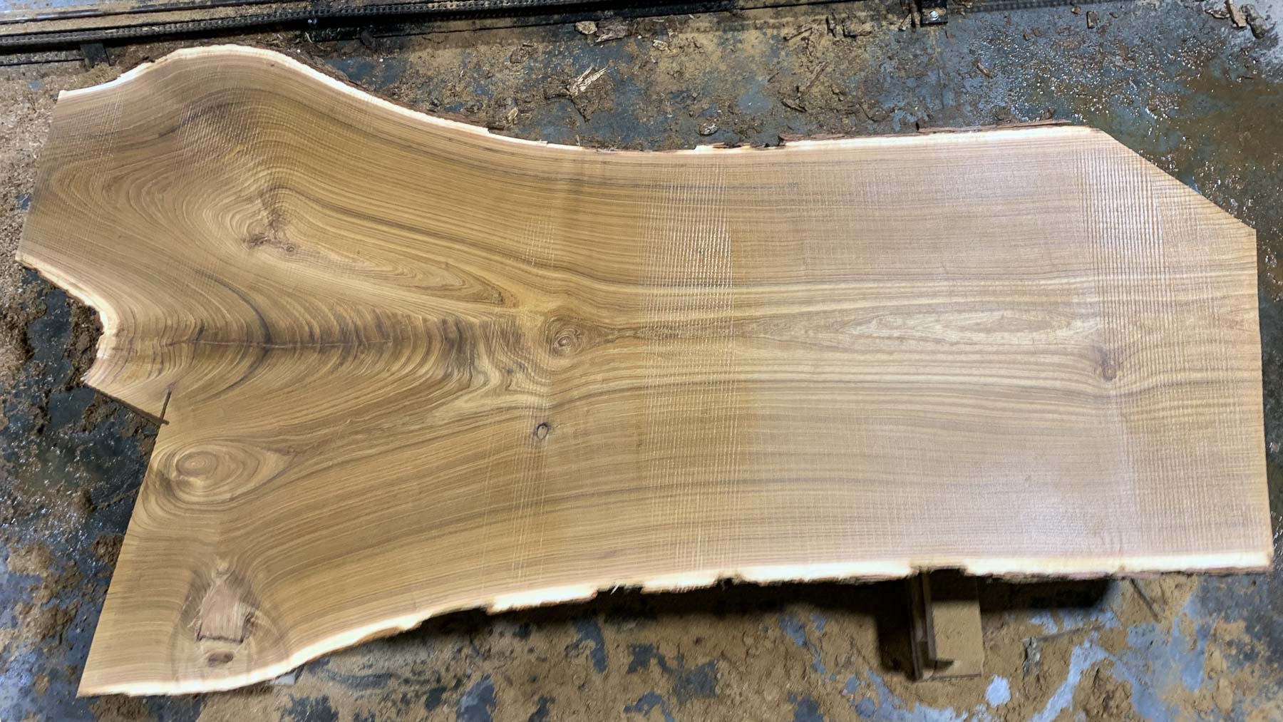 Catalpa Wood Slab: CA-01-06
