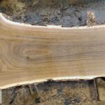 Catalpa Wood Slab: CA-01-09