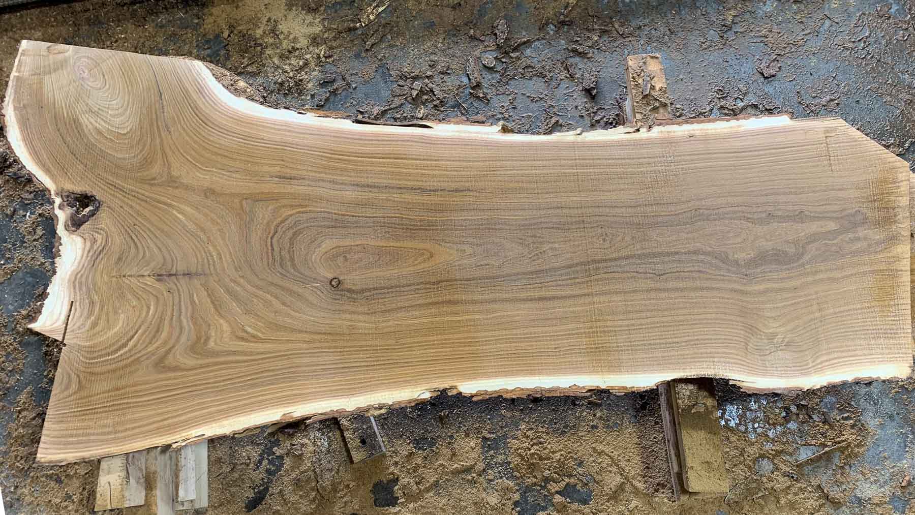 Catalpa Wood Slab: CA-01-09