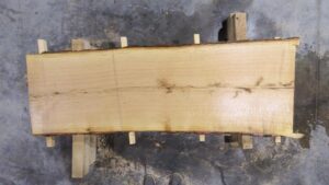 Chestnut Oak Wood Slab: NO-01-02