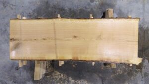 Chestnut Oak Wood Slab: NO-01-03