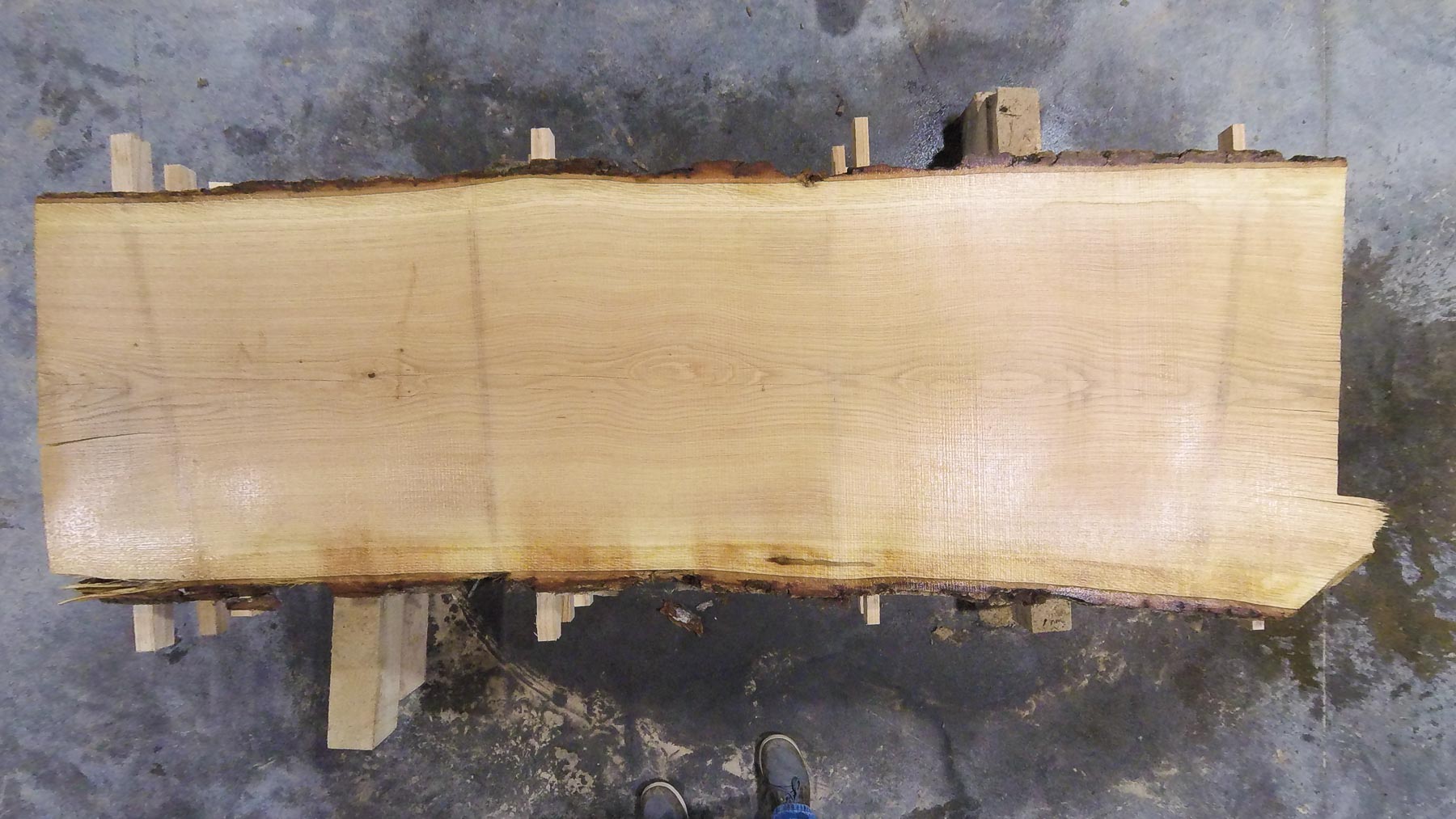 Chestnut Oak Wood Slab: NO-01-04