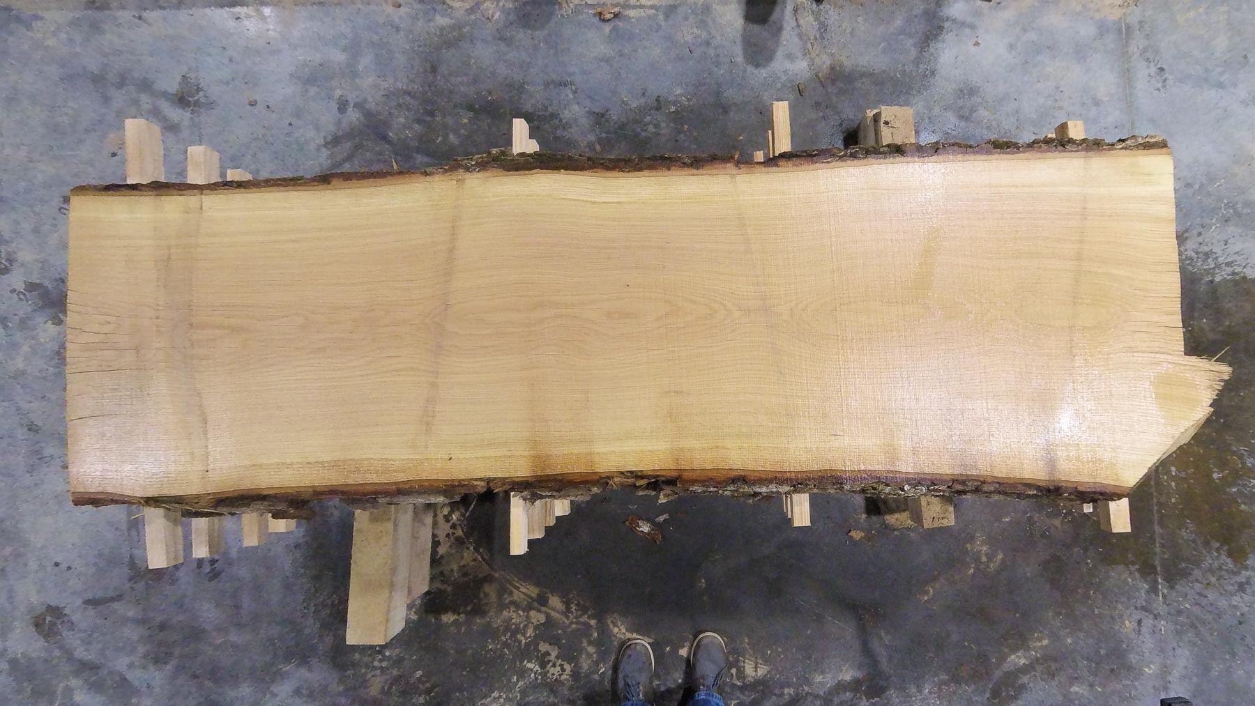 Chestnut Oak Wood Slab: NO-01-05