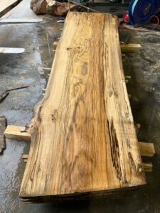 Hackberry Wood Slab: HB-01-03