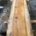 Hackberry Wood Slab: HB-01-06