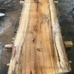 Hackberry Wood Slab: HB-01-07
