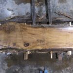 Red Oak Wood Slab: RO-04-08