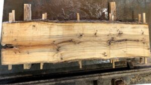 Sweetgum Wood Slab: SG-06-02