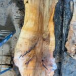 Sugar Maple Wood Slab: SM-01-03