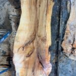 Sugar Maple Wood Slab: SM-01-04