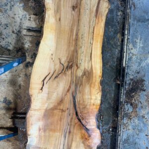 Sugar Maple Wood Slab: SM-01-05