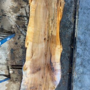 Sugar Maple Wood Slab: SM-01-06