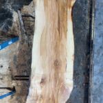 Sugar Maple Wood Slab: SM-01-07