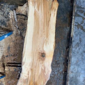 Sugar Maple Wood Slab: SM-01-08
