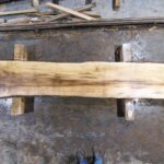 Silver Maple Wood Slab: VM-01-01