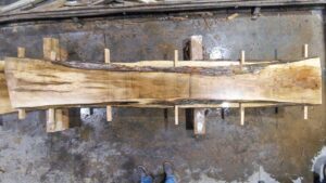 Silver Maple Wood Slab: VM-01-02