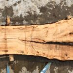 Silver Maple Wood Slab: VM-02-01