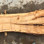 Silver Maple Wood Slab: VM-02-02