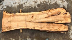 Silver Maple Wood Slab: VM-02-02