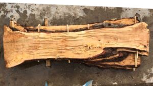 Silver Maple Wood Slab: VM-02-04