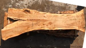 Silver Maple Wood Slab: VM-02-06