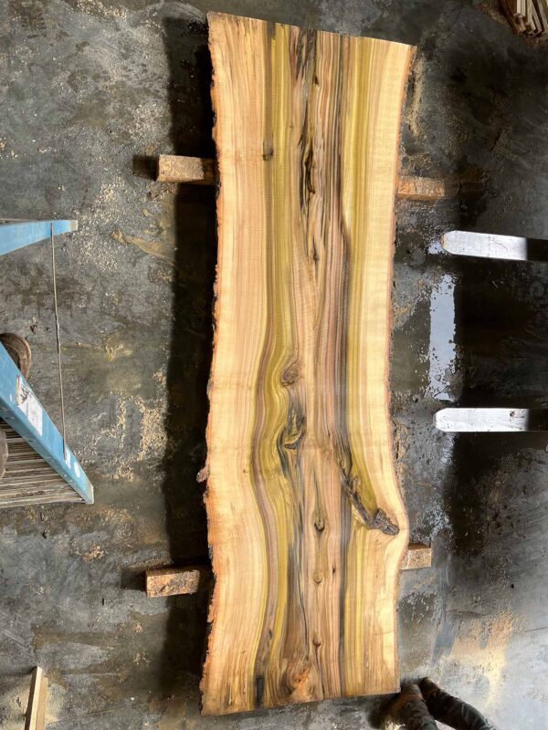 Catalpa Wood Slab: CA-01-04 – Bluestone Organic