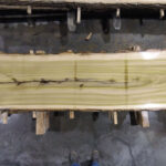 Tulip Poplar Wood Slab: TP-01-03