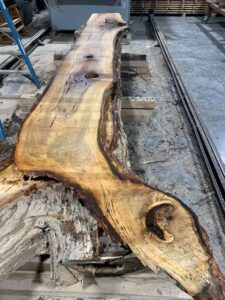 Silver Maple Wood Slab: VM-03-01