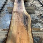 Silver Maple Wood Slab: VM-03-05