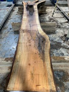 Silver Maple Wood Slab: VM-03-05