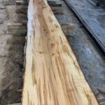 Silver Maple Wood Slab: VM-04-05