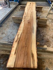 Silver Maple Wood Slab: VM-04-06
