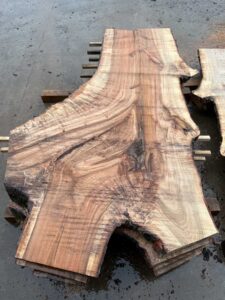 Silver Maple Wood Slab: VM-08-05